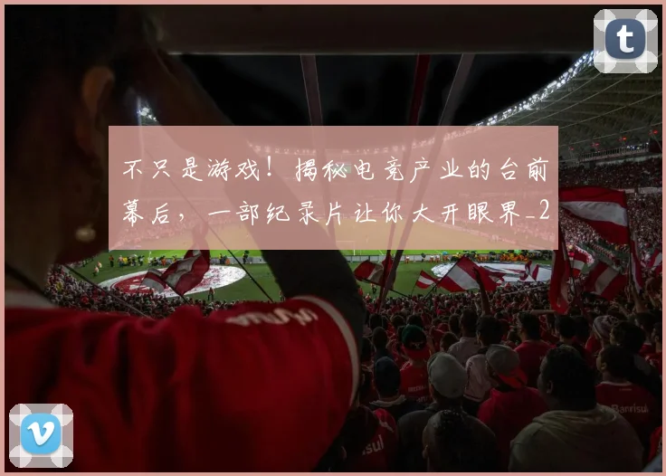 不只是游戏！揭秘电竞产业的台前幕后，一部纪录片让你大开眼界_20260531151220