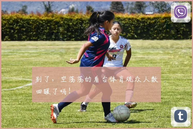 别了，空荡荡的看台体育观众人数回暖了吗！